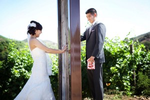 Irene Ko Aaron Li Wedding Ian Grant Photography