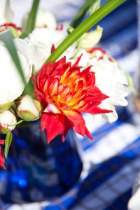 Lake Michigan Inspired Styled Shoot Wren Photography