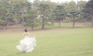 Sarah Chun Alex Peterson Wedding Lydia Chen Fotography