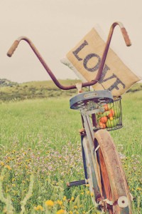 Summer Country Days Boudoir Shoot by Equinox Photo