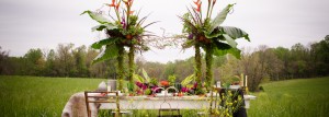 African Inspired Wedding Styled Shoot by Aaron Haslinger Photography Slider