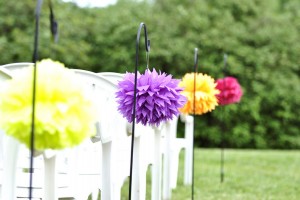 Andrea Popp & Peter Anderson Wedding ZADesignz Photography