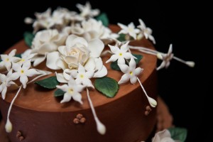Marisa Rothstein & Nolan Robinson Bookstore Wedding Sarah Tew Photography