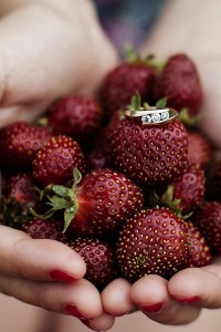 Maryse & Chad Strawberry Field Enagement Shoot Caroline Ross Photography