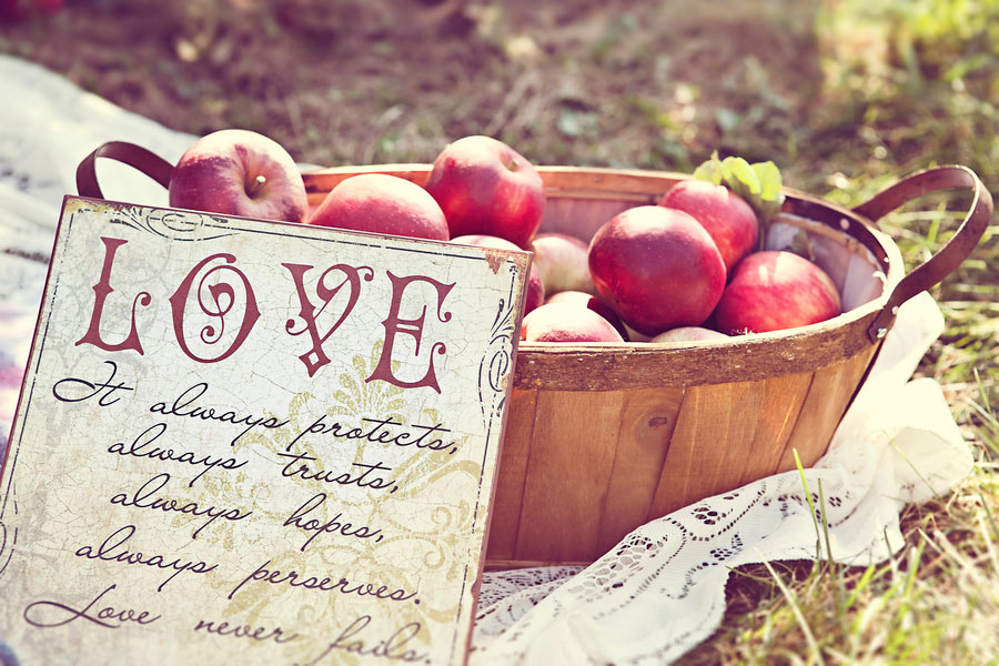 liefde is: samen appels plukken in de boomgaard succesverhaal datingoost datingsite datingbureau