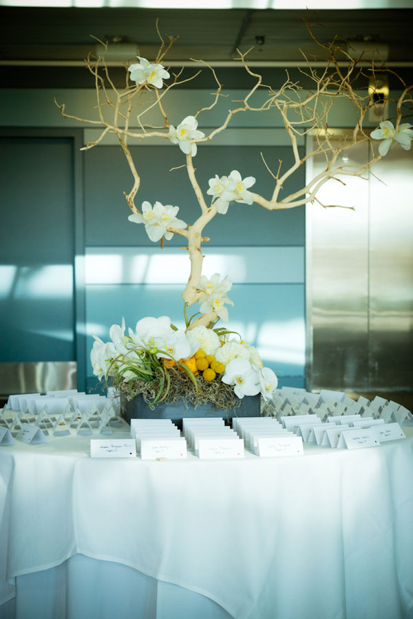 Modern Wedding At Denver Museum of Nature and Science With Touches of Yellow