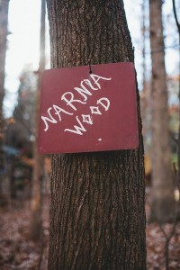Rustic Outdoor Offbeat Engagement Session The Last Unicorn Chapel Hill North Carolina Blest Photography (52)