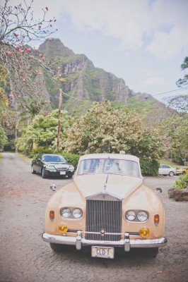 Hawaiian_St_Patricks_Day_Inspired_Wedding_Christina_Heaston_Photography_15-v