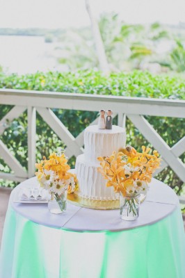 Hawaiian_St_Patricks_Day_Inspired_Wedding_Christina_Heaston_Photography_23-lv