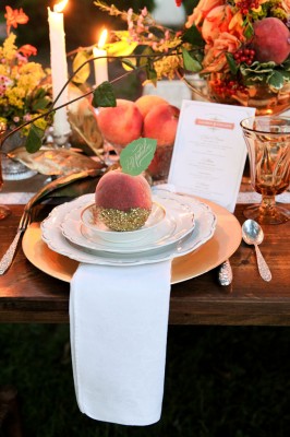 Southern_Glam_Rustic_Wedding_Peach_Gold_Amy_Clifton_Keely_Photography_19-rv