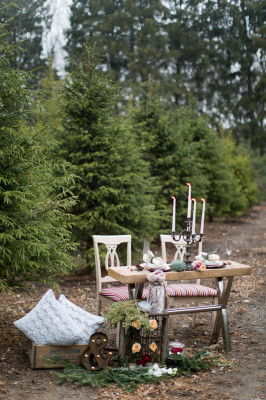 Holiday_Wedding_Christmas_Tree_Farm_Melissa_Kruse_Photography_26-v