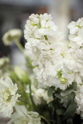 St. Regis Deer Valley Utah Tent Wedding Pepper Nix Photography