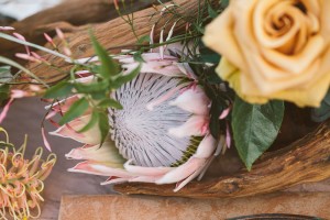 Science_Inspired_Geology_Wedding_DLillian_Photography_30-h
