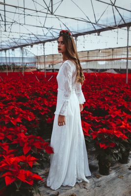 Poinsettia Farm Red Essence Spanish Wedding Eclectic Detailing