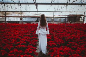 Poinsettia Farm Red Essence Spanish Wedding Eclectic Detailing
