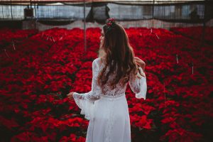 Poinsettia Farm Red Essence Spanish Wedding Eclectic Detailing