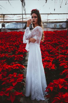 Poinsettia Farm Red Essence Spanish Wedding Eclectic Detailing