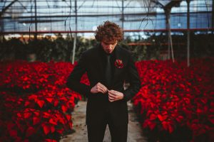 Poinsettia Farm Red Essence Spanish Wedding Eclectic Detailing