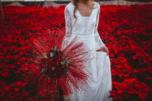Poinsettia Farm Red Essence Spanish Wedding Eclectic Detailing