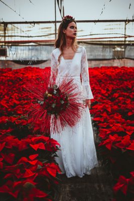 Poinsettia Farm Red Essence Spanish Wedding Eclectic Detailing