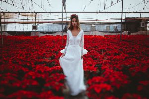 Poinsettia Farm Red Essence Spanish Wedding Eclectic Detailing