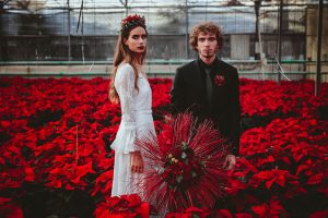 Poinsettia Farm Red Essence Spanish Wedding Eclectic Detailing