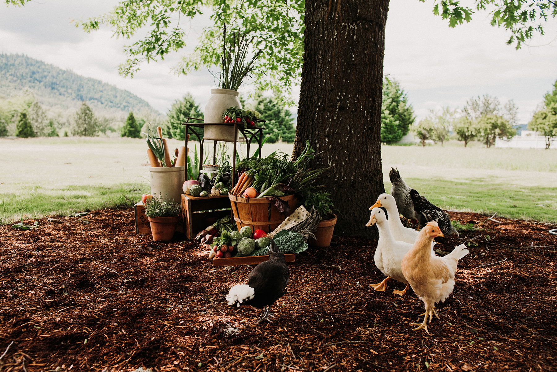 Organic Farmstead Wedding Inspiration Hazel Eye Photography05
