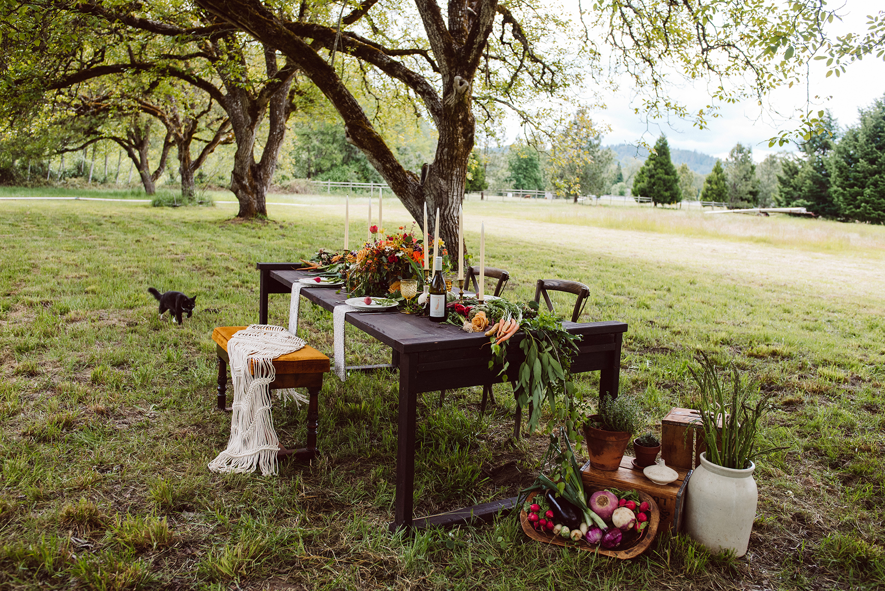 Organic Farmstead Wedding Inspiration Hazel Eye Photography18