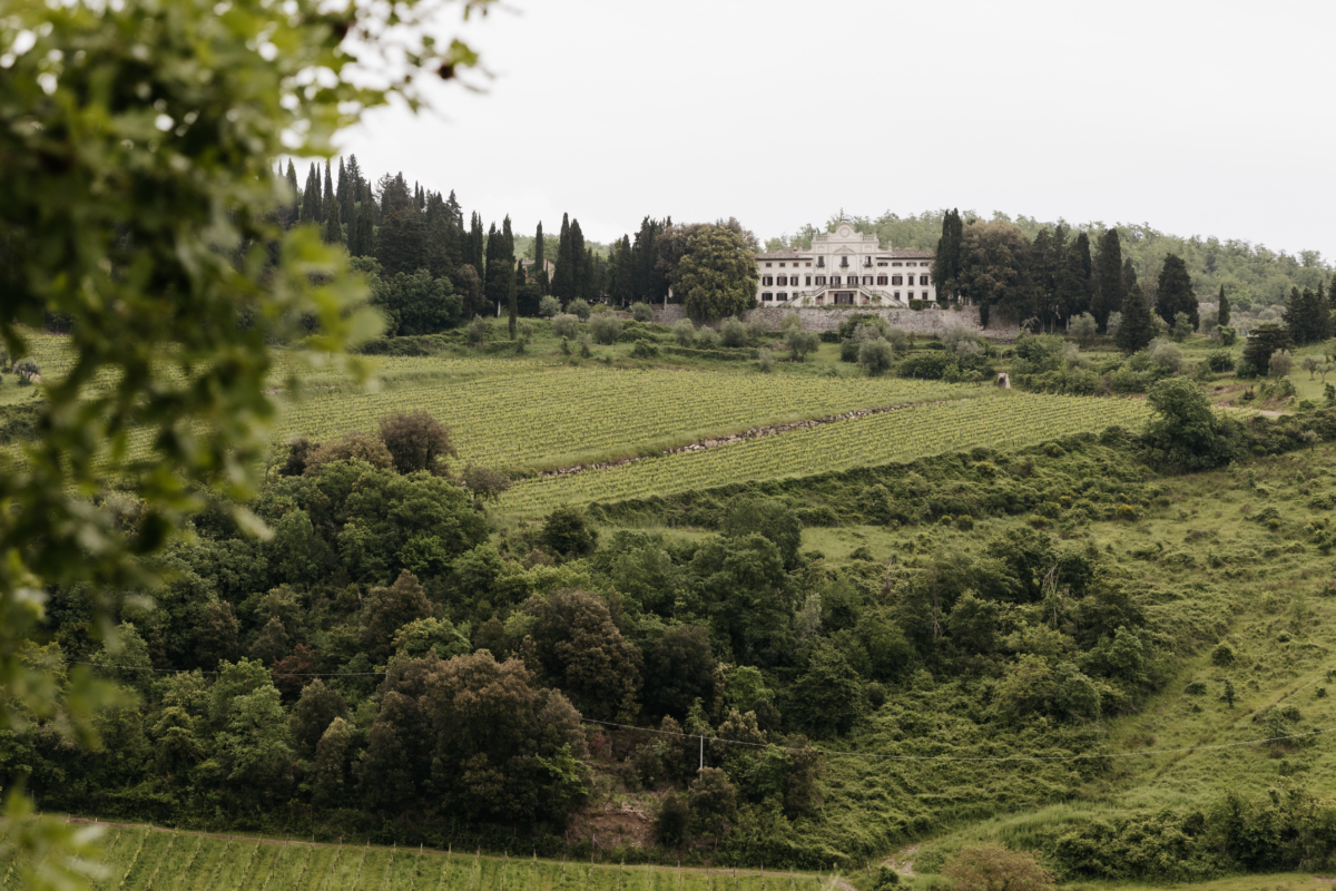 From NYC Nights to Tuscan Vows: Daniele and Madison’s Wine Cellar Romance | Storyboard Wedding